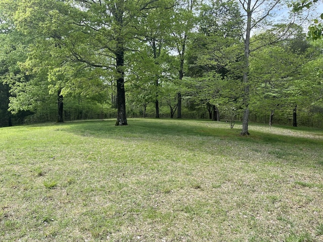 501 Ed Harris Rd, Ashland City, TN 37015 - photo 34