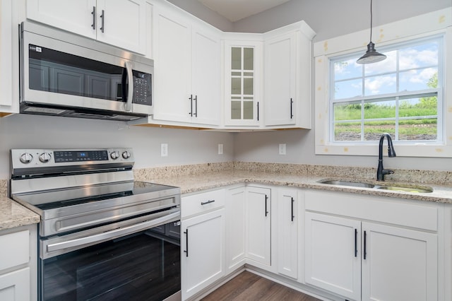 kitchen featuring glass insert cabinets, dark wood-style floors, white cabinets, a sink, and stainless steel appliances