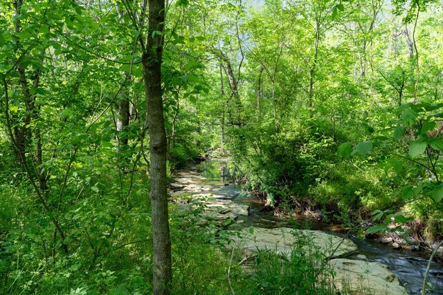 view of nature featuring a wooded view