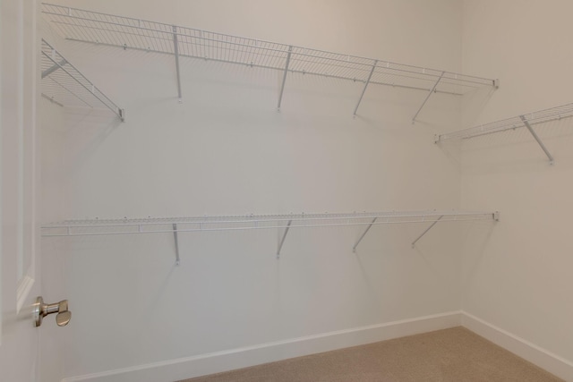 spacious closet with light colored carpet