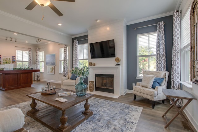 living room with light wood-style flooring, crown molding, baseboards, and plenty of natural light