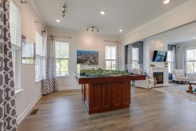playroom featuring a fireplace, dark wood finished floors, visible vents, and ornamental molding