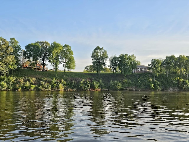 6 Pillow St W, Clifton, TN 38425