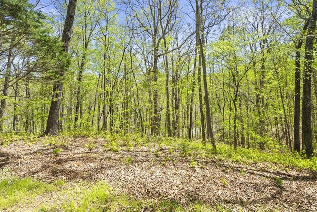 312 Powder Mill Dr, Ashland City, TN 37015 - photo 39