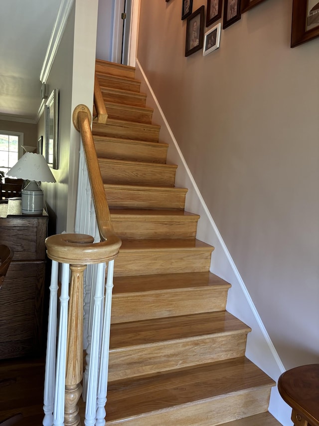107 Brandon Ln, Woodbury, TN 37190 - photo 23