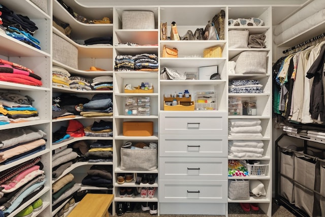 view of spacious closet