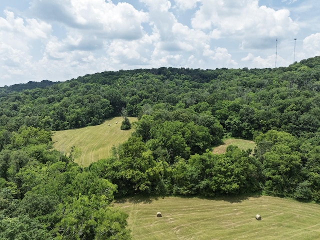 0 Bear Creek Pike, Columbia, TN 38401 - photo 4
