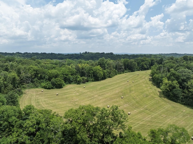 0 Bear Creek Pike, Columbia, TN 38401 - photo 14