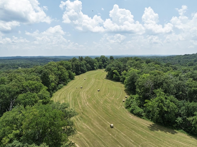 0 Bear Creek Pike, Columbia, TN 38401 - photo 12