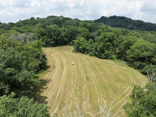 0 Bear Creek Pike, Columbia, TN 38401 - photo 9