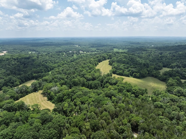 0 Bear Creek Pike, Columbia, TN 38401 - photo 8