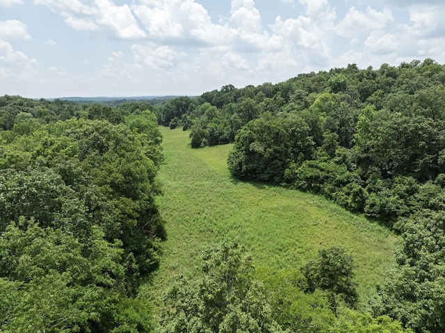0 Bear Creek Pike, Columbia, TN 38401 - photo 1