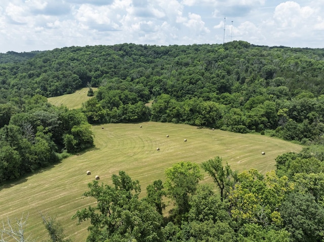 0 Bear Creek Pike, Columbia, TN 38401 - photo 10