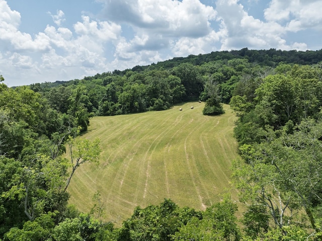 0 Bear Creek Pike, Columbia, TN 38401 - photo 13