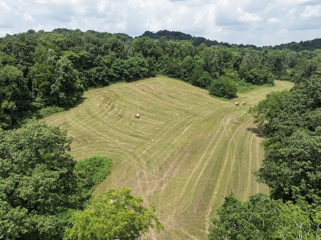 0 Bear Creek Pike, Columbia, TN 38401 - photo 6