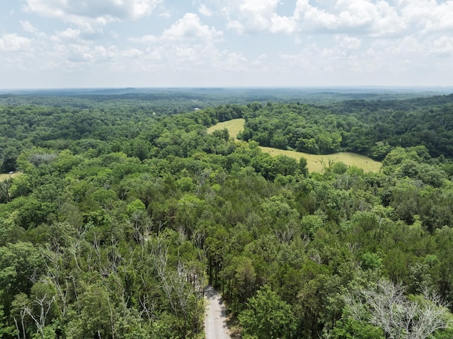 0 Bear Creek Pike, Columbia, TN 38401 - photo 15