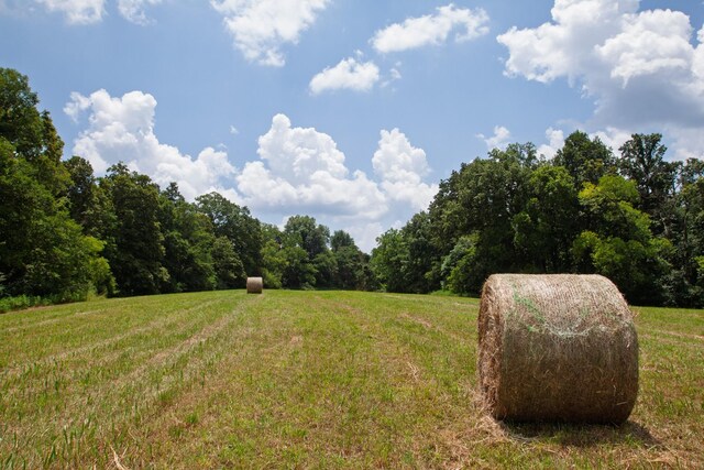 0 Bear Creek Pike, Columbia, TN 38401 - photo 7