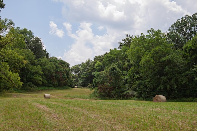 0 Bear Creek Pike, Columbia, TN 38401 - photo 11