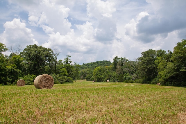 0 Bear Creek Pike, Columbia, TN 38401 - photo 3