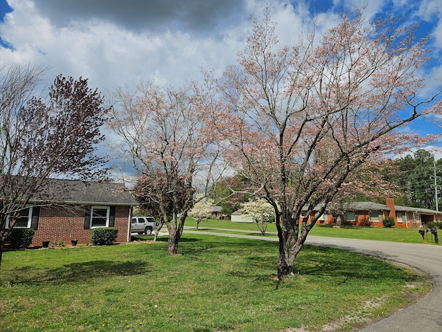 111 Dogwood Ln, Winchester, TN 37398 - photo 22