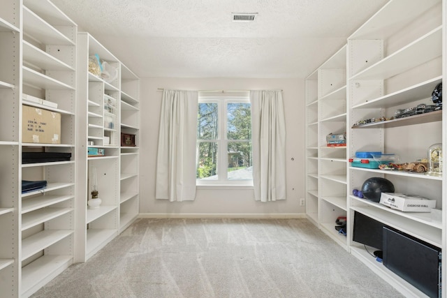 313 Walpole Ct, Nolensville, TN 37135 - walk in closet featuring visible vents and carpet