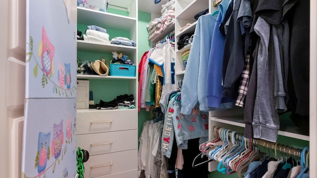 view of walk in closet