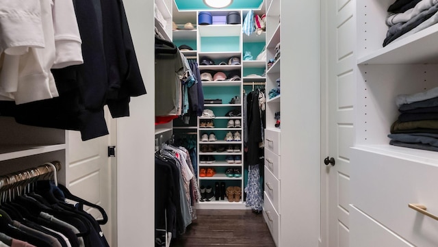 walk in closet with dark wood finished floors