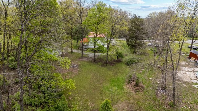 4103 Arno Rd, Franklin, TN 37064 - view of yard