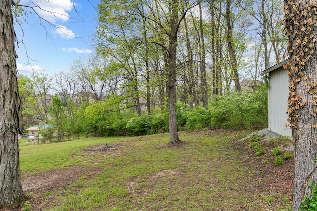 4103 Arno Rd, Franklin, TN 37064 - view of yard