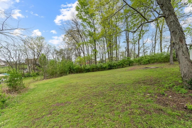 4103 Arno Rd, Franklin, TN 37064 - view of yard