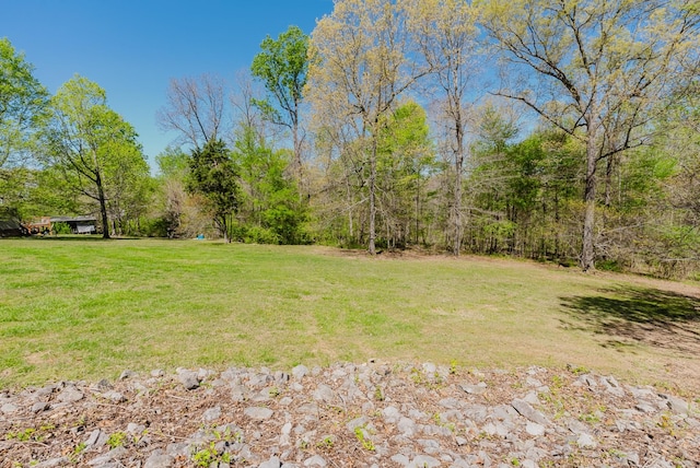 1111 Old County House Rd, Charlotte, TN 37036 - photo 10