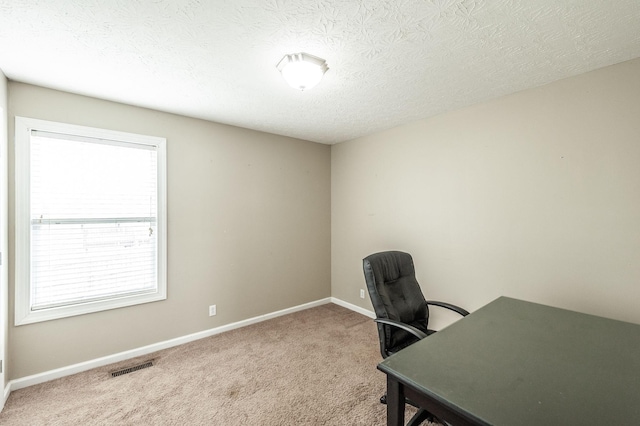 327 Arabian Ln, Springfield, TN 37172 - carpeted home office with baseboards, visible vents, and a textured ceiling