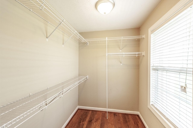 327 Arabian Ln, Springfield, TN 37172 - walk in closet with wood finished floors