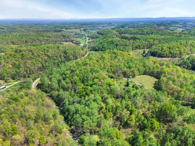 bird's eye view with a forest view