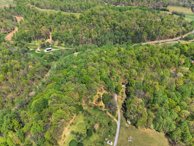 bird's eye view with a view of trees