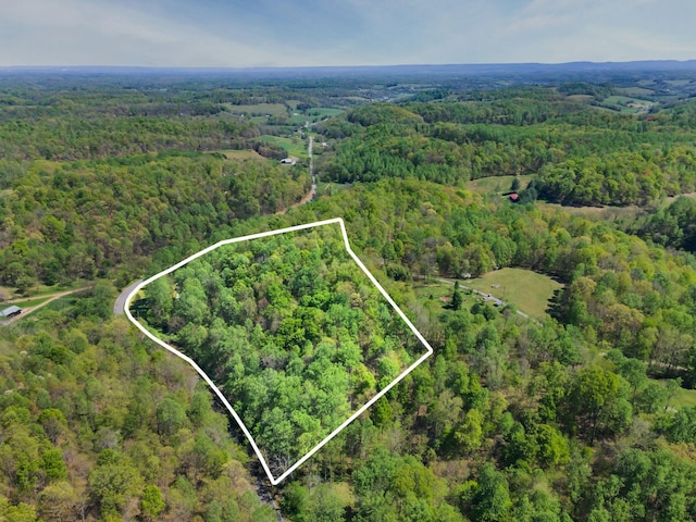 drone / aerial view with a view of trees