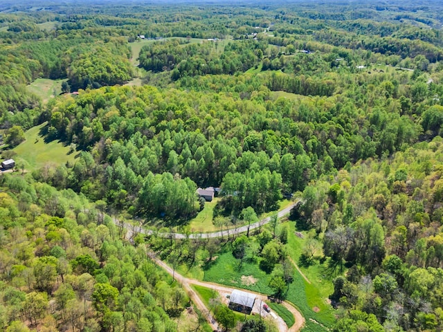 bird's eye view with a forest view