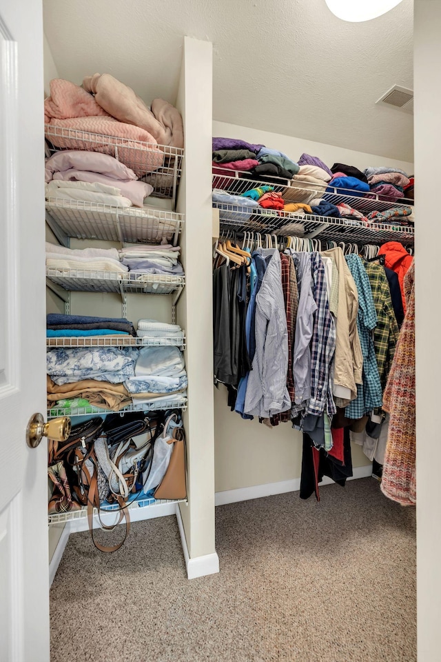 view of closet