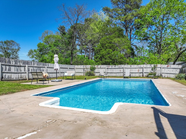 view of pool featuring a fenced backyard, a patio area, and a fenced in pool