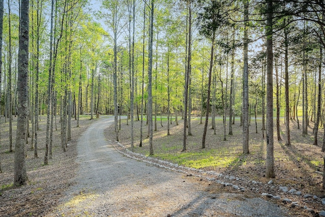 view of road with a forest view