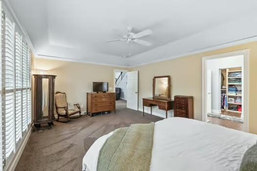 carpeted bedroom featuring multiple windows, a raised ceiling, and ceiling fan