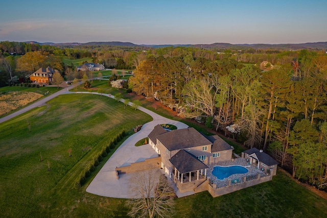 aerial view at dusk with a wooded view