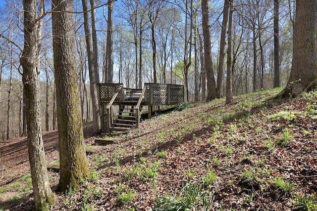 1008 Willowbank Ct, Ashland City, TN 37015 - photo 31