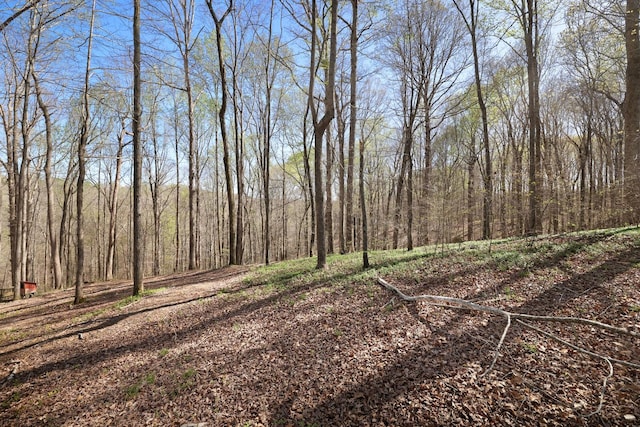 1008 Willowbank Ct, Ashland City, TN 37015 - photo 33