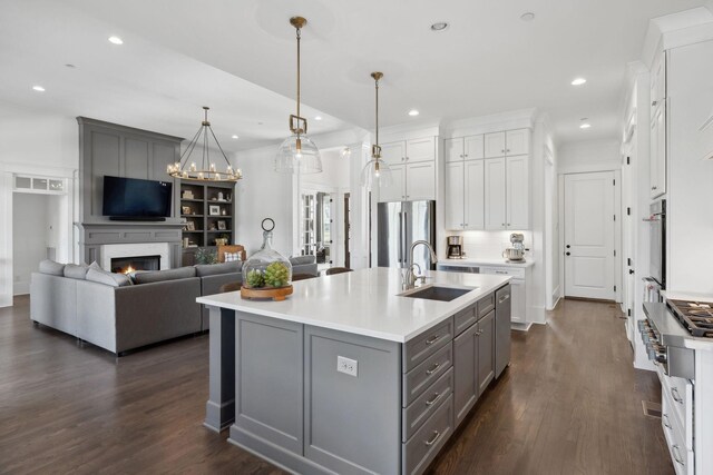 2041 Kingsbarns Dr, Nolensville, TN 37135 - kitchen featuring dark wood-style floors, a sink, open floor plan, gray cabinetry, and appliances with stainless steel finishes