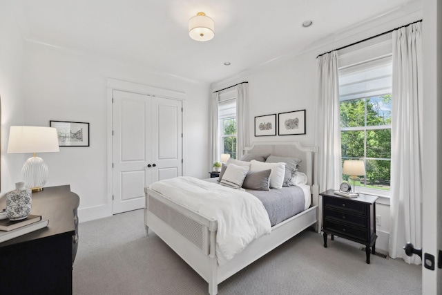 2041 Kingsbarns Dr, Nolensville, TN 37135 - bedroom featuring light colored carpet and a closet