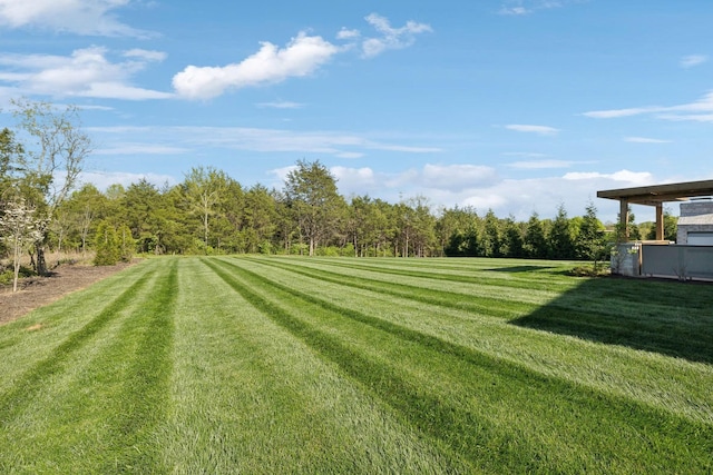 2041 Kingsbarns Dr, Nolensville, TN 37135 - view of yard featuring a wooded view