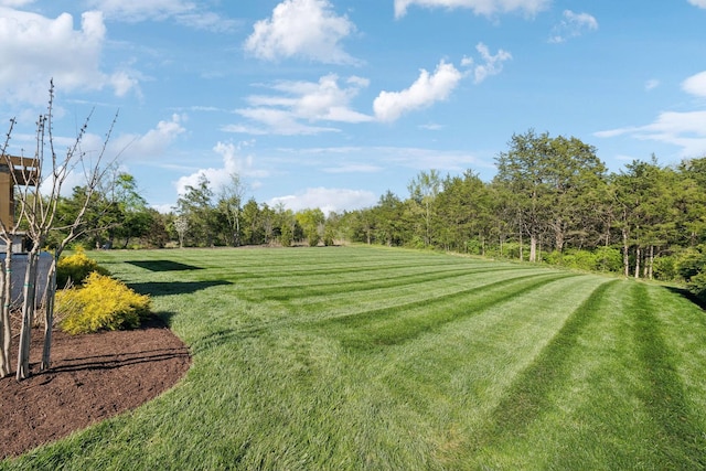 2041 Kingsbarns Dr, Nolensville, TN 37135 - view of yard