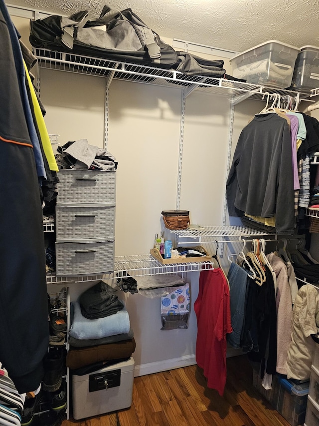 walk in closet featuring wood finished floors