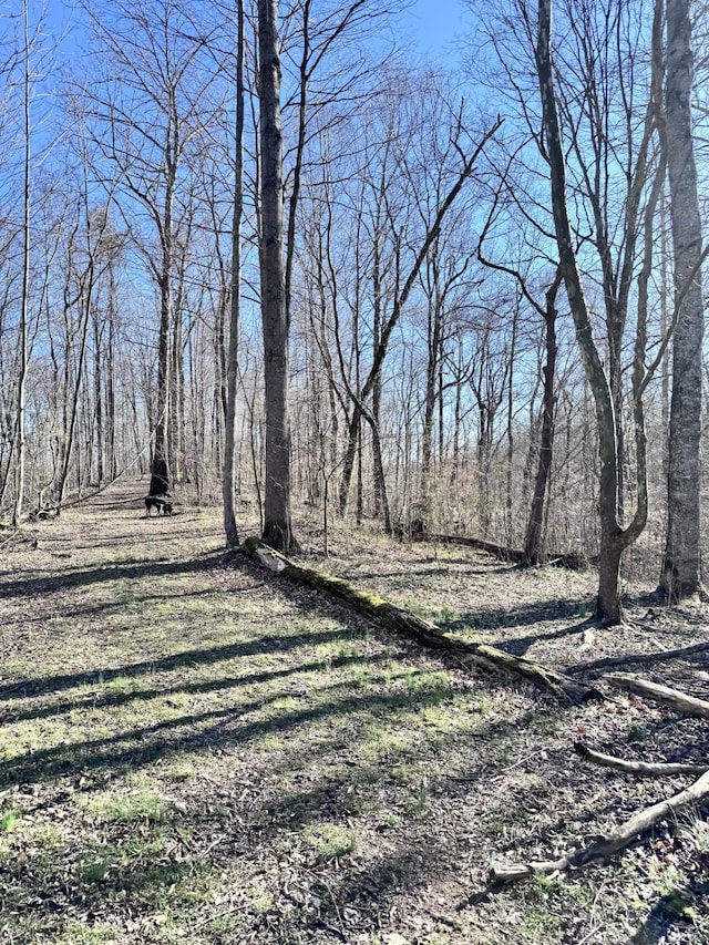 view of nature